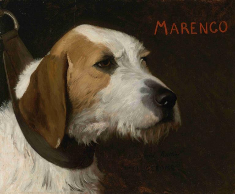 Marengo,Jean-Léon Gérôme,Pictura in ulei,Pictura in ulei, nici oameni, realist, câine, focalizare pe animale