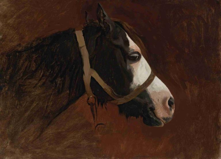 Profile Of A Horse,马的简介,Jean-Léon Gérôme,让-莱昂-热罗姆,油画,油画, 从侧面, 棕色背景, 独奏, 动物, 没有人类, 实际的, 轮廓