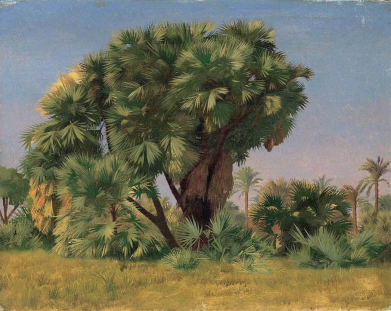 Study of Palm Trees,Étude des palmiers,Jean-Léon Gérôme,Peinture à l'huile,Peinture à l'huile, arbre