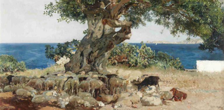 Algarrobo (The Carob Tree),알가로보(캐롭 나무),Joaquín Sorolla,호아킨 소롤라,오일 페인팅,오일 페인팅, 나무, 경치, 옥외, 인간은 없어, 대양, 해변, 바위