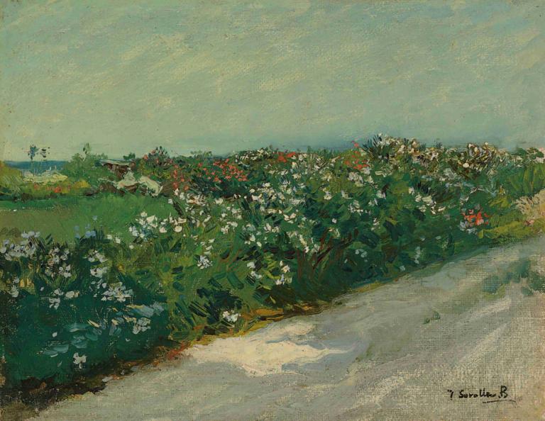 Malvarrosa,Joaquín Sorolla,Oil Painting,Oil Painting, outdoors, flower, scenery, no humans, grass, tree, day