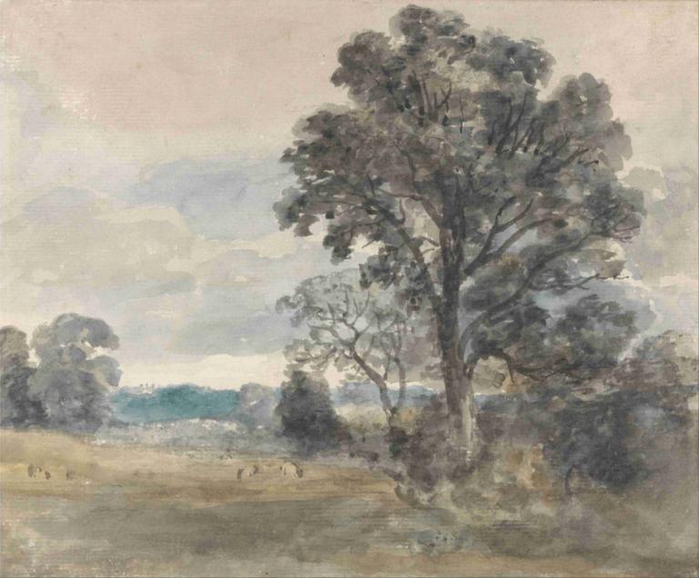 Landscape at East Bergholt,이스트 베르그홀트의 풍경,John Constable,존 컨스터블,오일 페인팅,오일 페인팅, 나무, 인간은 없어, 옥외, 경치, 전통 미디어, 하늘