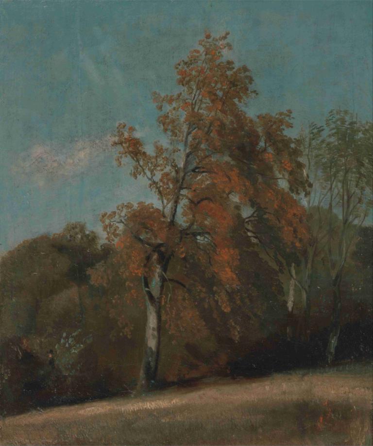 Study of an Ash Tree,Studie über einen Eschenbaum,John Constable,Johann Wachtmeister,Ölgemälde,Ölgemälde