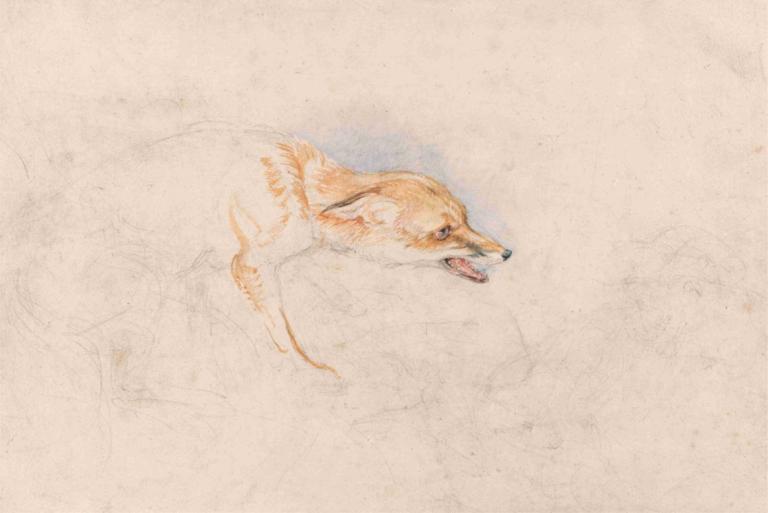 Study of a Crouching Fox, Facing Right,오른쪽을 바라보는 웅크린 여우 연구,John Frederick Lewis,존 프레드릭 루이스,오일 페인팅,오일 페인팅, 개