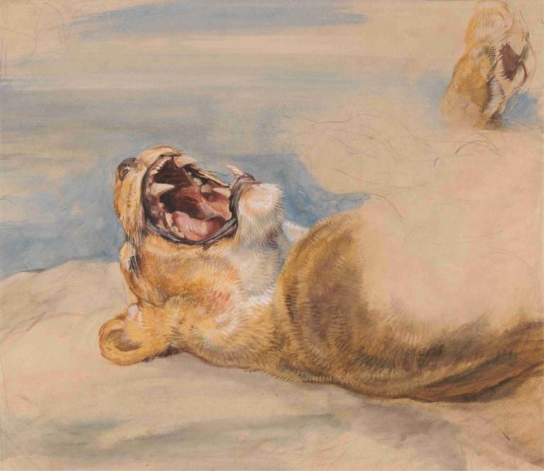 Study of a Lioness,암사자 연구,John Frederick Lewis,존 프레드릭 루이스,오일 페인팅,오일 페인팅, 인간은 없어, 입을 벌리다, 동물 중심, 현실적인, 혀, 개, 곰