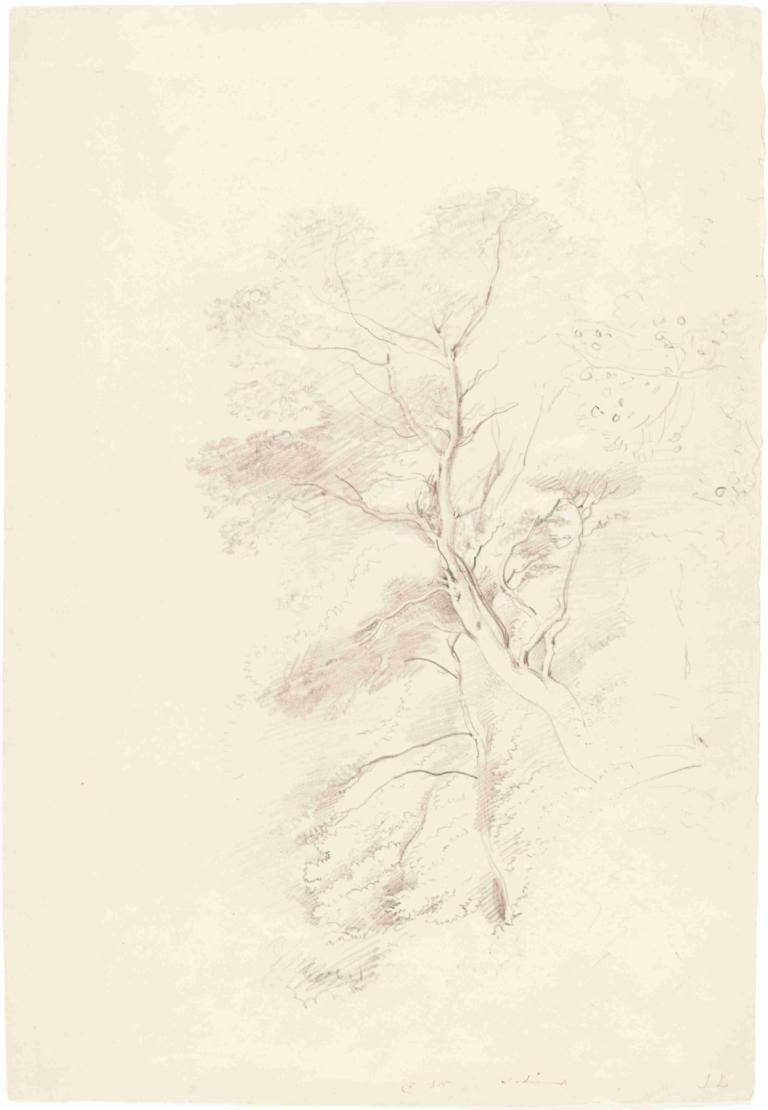 A Beech Wood,John Linnell,Sketch,Sketch, monochrome, tree, branch, 1girl, solo