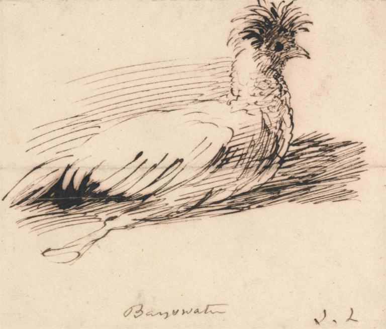 A Hen,John Linnell,Sketch,Sketch, monochrome, no humans, traditional media, bird, motion lines