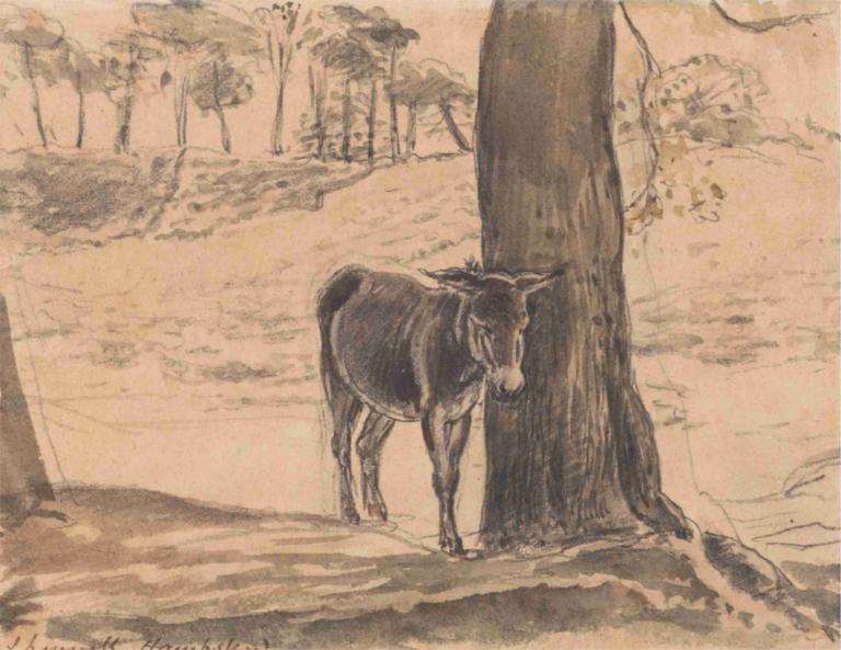 Donkey Beside a Tree, Hampstead,树旁的驴子，汉普斯特德,John Linnell,约翰-林内尔,铜版画,铜版画, 树, 没有人类, 传统媒体, 单色, 马, 户外, 棕褐色, 动物