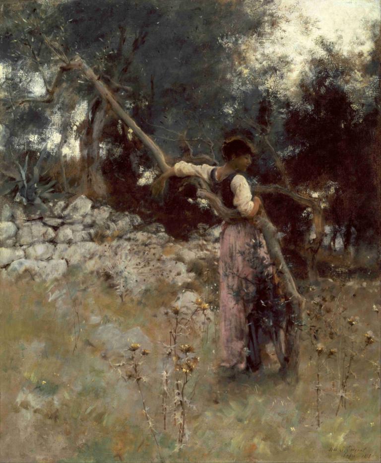 A Capriote,Capriota,John Singer Sargent,Pictura in ulei,Pictura in ulei, solo, copac, 1 băiat, natură