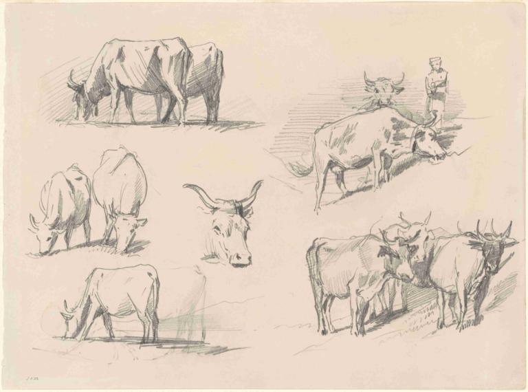 Studies of Cattle,Các nghiên cứu về bò,John Singer Sargent,John Singh Sakint.,Phác thảo,Phác thảo, Đơn sắc