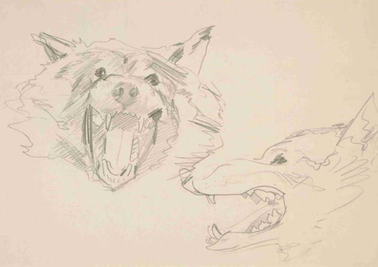 Two Views of a Wolf’s Head,Hai quan điểm của đầu sói,John Singer Sargent,John Singh Sakint.,Phác thảo