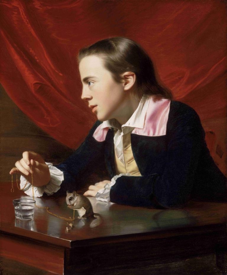 A Boy With A Flying Squirrel [Henry Pelham],John Singleton Copley,Oil Painting,Oil Painting, fine art parody