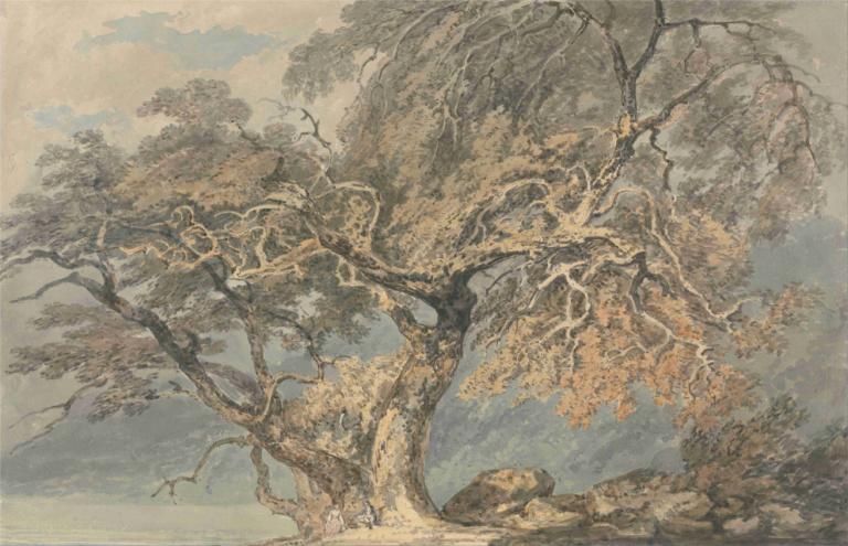 A Great Tree,Joseph Mallord William Turner,Oil Painting,Oil Painting, tree, scenery, outdoors