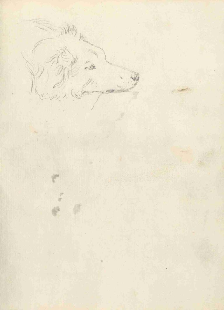 Head of a Dog,Joseph Wright of Derby,Sketch,Sketch, monochrome, traditional media, solo, closed eyes, animal