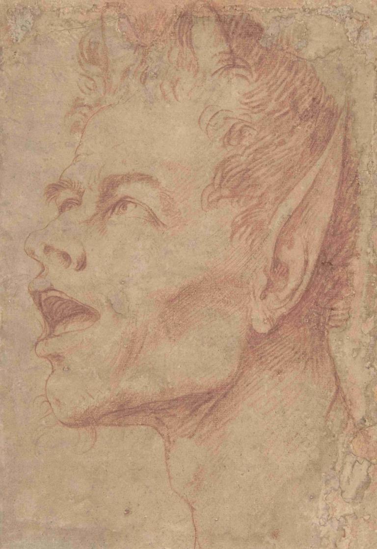 Head of a Satyr Facing Left,Kepala Satyr Menghadap ke Kiri,Jusepe de Ribera,Sketsa,Sketsa, solo