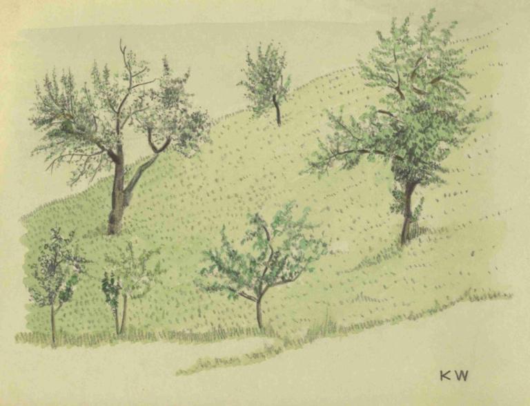 Ohne Titel (Laubbäume auf Hügel),Uden titel (løvfældende træer på bakken),Karl Wiener,Illustration