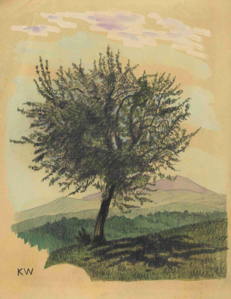 Ohne Titel (Laubbaum in Landschaft),Uden titel (løvfældende træ i landskab),Karl Wiener,Illustration