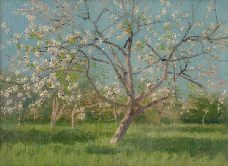 Study of Blooming Trees in an Orchard,Studie av blommande träd i en fruktträdgård,Ladislav Mednyánszky