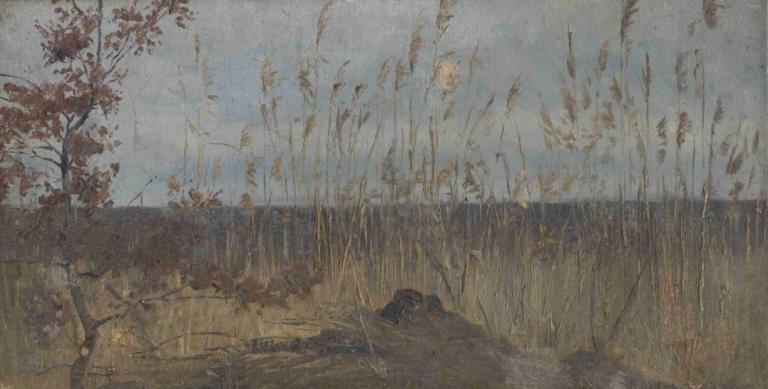 Study of a Marsh Landscape,Étude d'un paysage de marais,Ladislav Mednyánszky,Peinture à l'huile