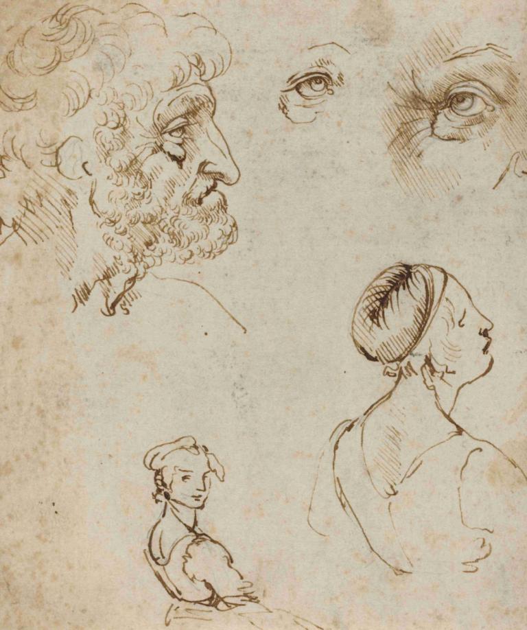 Sheet of Studies,Studieblad,Leonardo da Vinci,Schetsen,Schetsen, monochroom, traditionele media, schetsen