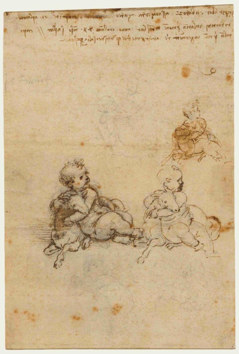 Studies for the Christ Child with a Lamb,Studii pentru Pruncul Iisus cu un miel,Leonardo da Vinci,Schiță