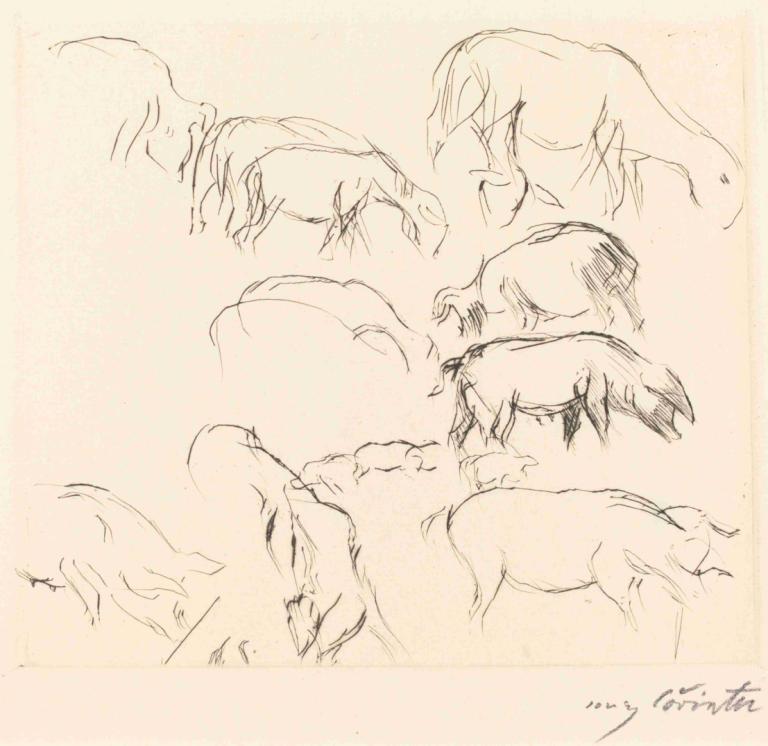 Animal Studies (Verschiedene Tierstudien),Študije na živalih (različne študije na živalih),Lovis Corinth