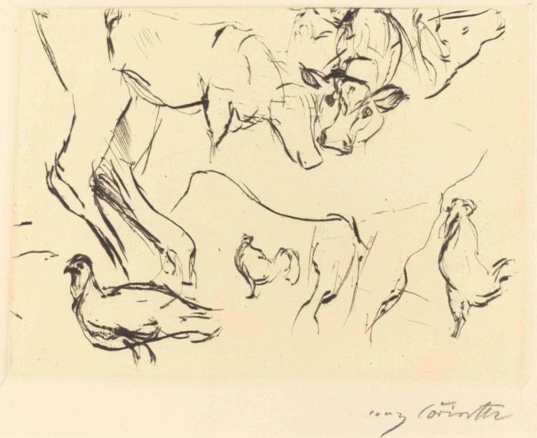 Animal Studies (Verschiedene Tierstudien),Lovis Corinth,Sketch,Sketch, monochrome, bird, animal, wolf