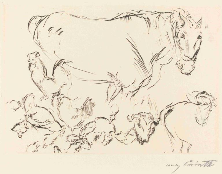 Animal Studies (Verschiedene Tierstudien),Lovis Corinth,Sketch,Sketch, monochrome, no humans, sketch