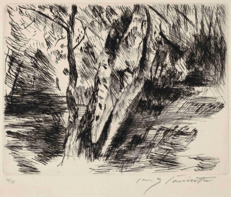 Birch Trees in the Tiergarten,Copaci de mesteacăn în Tiergarten,Lovis Corinth,Gravura din cupru