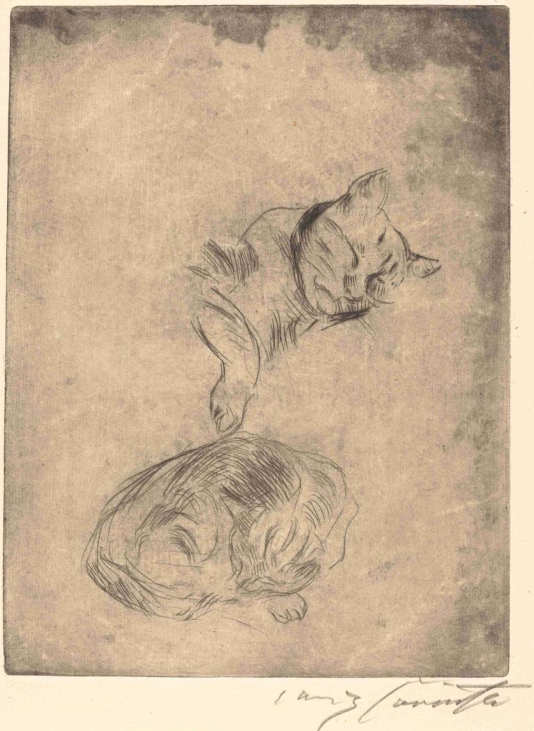 Cats (Katzenstudie),Cats (étude sur les chats),Lovis Corinth,Gravure sur cuivre,Gravure sur cuivre