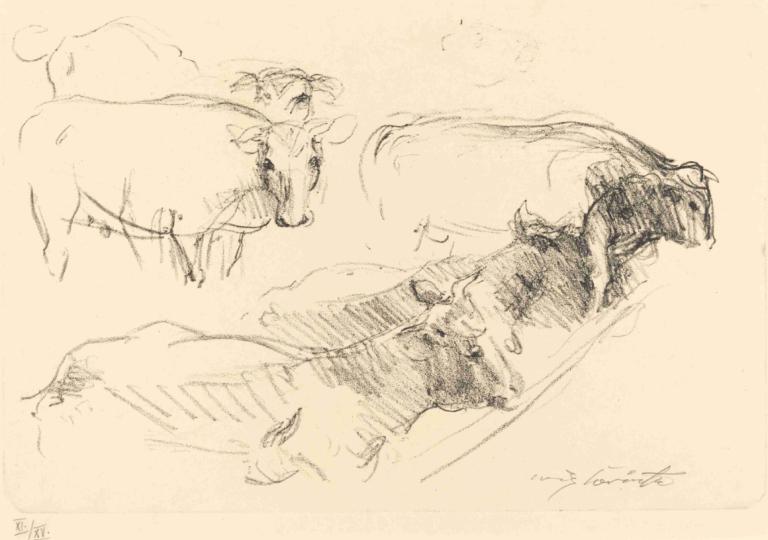 Cows (Kühe),Lovis Corinth,Sketch,Sketch, monochrome, horse, riding, no humans, animal, traditional media, dog