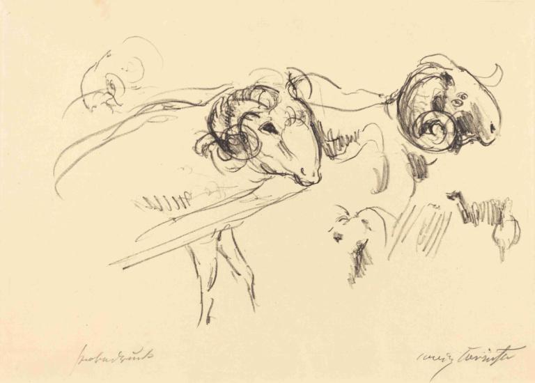 Rams (Schafböcke),Væddere (Schafböcke),Lovis Corinth,Lovis Korinth,Skitse,Skitse, monokrom, ingen mennesker