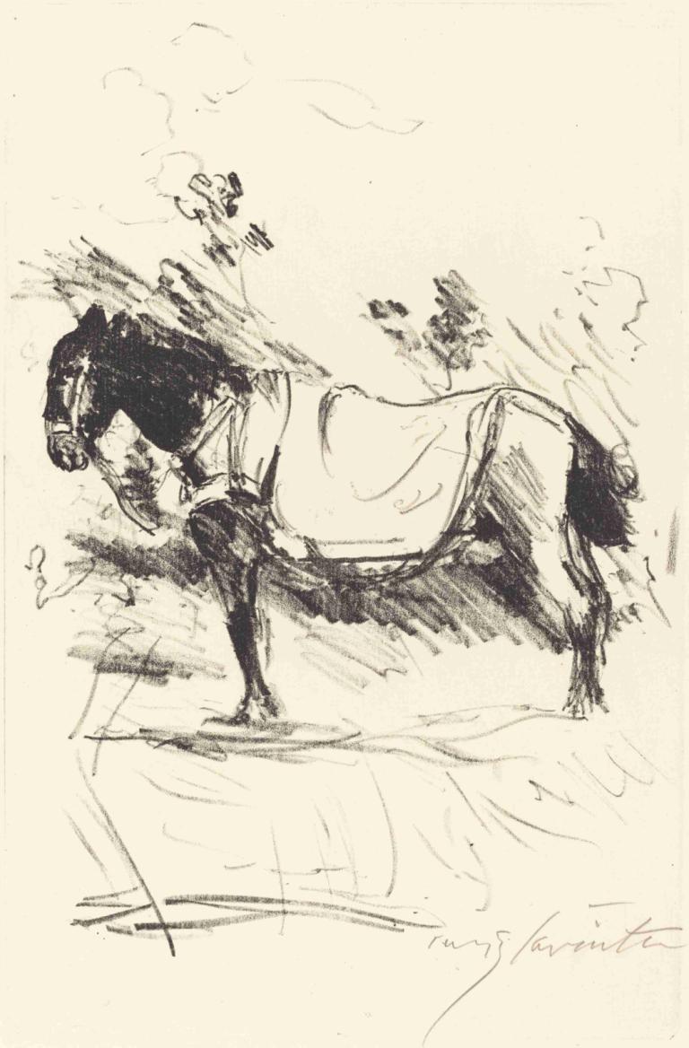 Riding-Horse (Reitpferd),승마-말(승마 말),Lovis Corinth,로비스 코린트,스케치,스케치, 단색화, 독주, 전통 미디어, 1남, 남성 집중