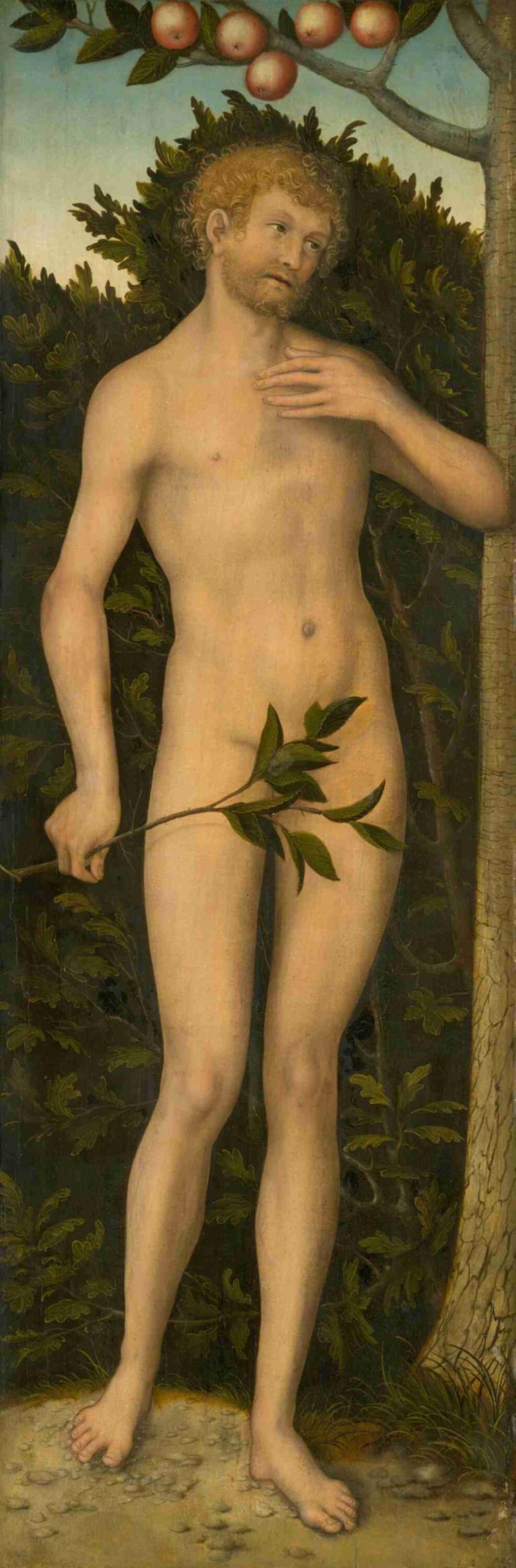 Adam,亞當,Lucas Cranach the Elder,盧卡斯·克蘭奇長老,油畫,油畫, 男性焦點, 獨奏, 1男孩, 裸體, 金髮, 水果, 樹, 方便的審查, 鬍子, 食物, 實際的, 臍, 全身, 戶外