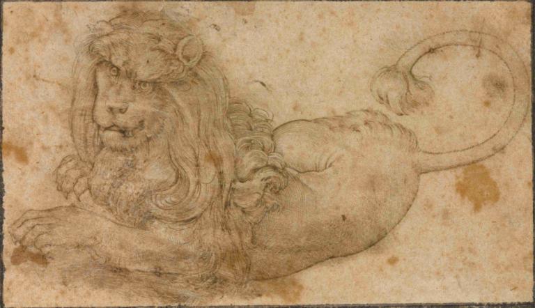 Study of a Lion,Lucas Cranach the Elder,Color Sketch,Color Sketch, solo, monochrome, on stomach, lying, tail