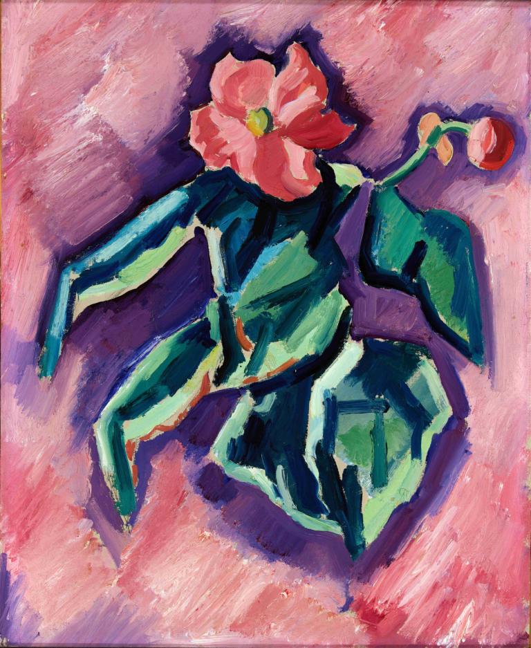 Pink Begonias,粉色秋海棠,Marsden Hartley,马斯登-哈特利,油画,油画, 花, 没有人类, 传统媒体, 粉色背景, 神奇宝贝（生物）, 粉红色的花, 独奏, 绘画（中）, 红花, 叶子