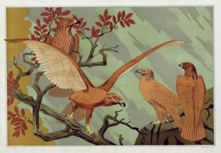 Aigles,Maurice Pillard Verneuil,Illustration,Illustration, no humans, bird, animal focus, branch, border