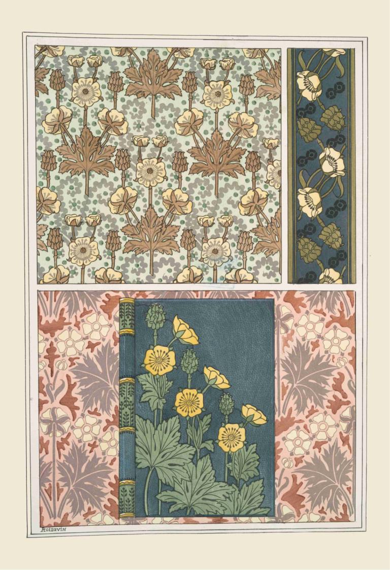 Bouton d'or 3,Ranuncolo 3,Maurice Pillard Verneuil,Illustrazione,Illustrazione, fiore, nessun essere umano