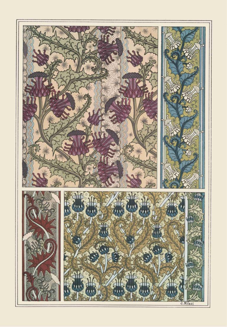 Chardon 2,Maurice Pillard Verneuil,Ilustración,Ilustración, flor, planta, hoja, Art Nouveau, flor blanca