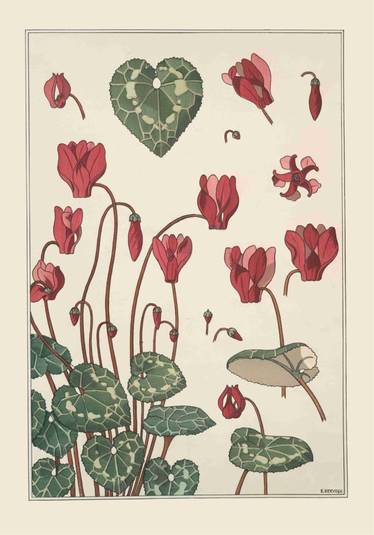 Cyclamen,시클라멘,Maurice Pillard Verneuil,모리스 필라드 베르뉴유,일러스트레이션,일러스트레이션, 인간은 없어, 꽃, 잎, 빨간 꽃, 정물, 국경, 간단한 배경, 서명