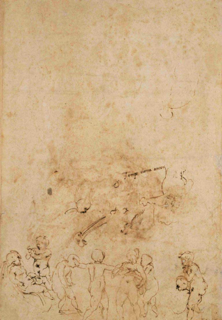 Amorous Putti at Play; Head of a Bird,Michelangelo,Sketch,Sketch, monochrome, multiple boys, multiple girls