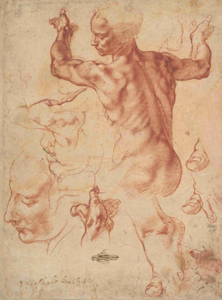 Studies for the Libyan Sibyl,Libyan Sibylliä koskevat tutkimukset,Michelangelo,Luonnos,Luonnos, 1 poika