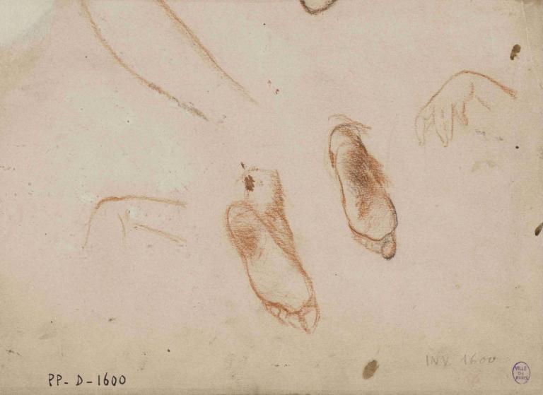 Deux études de pieds et de main,Narcisse-Virgile Diaz de La Peña,Sketch,Sketch, bird, traditional media