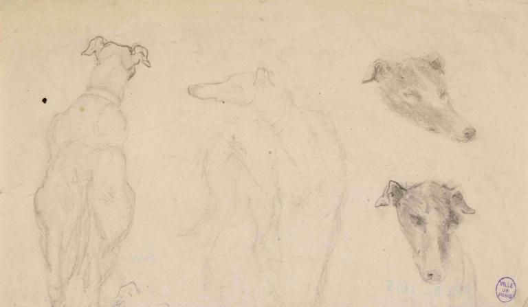 Deux esquisses de chiens, et deux croquis de tête de chien,Narcisse-Virgile Diaz de La Peña,Croquis,Croquis