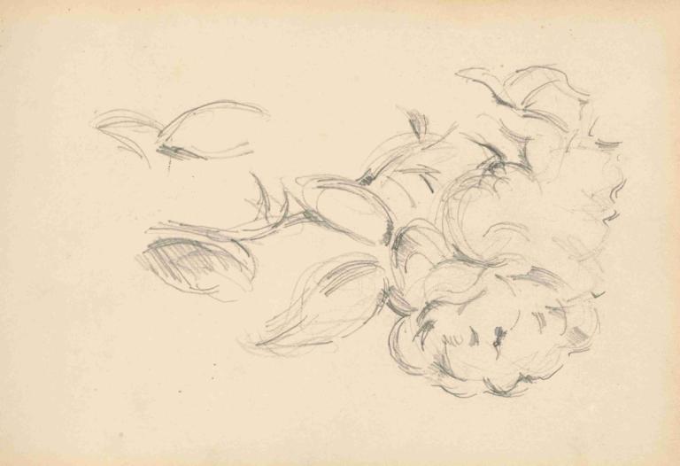 Peonies,Pionit,Paul Cézanne,Luonnos,Luonnos, 1 tyttö, yksin, yksivärinen, luonnos, perinteistä mediaa