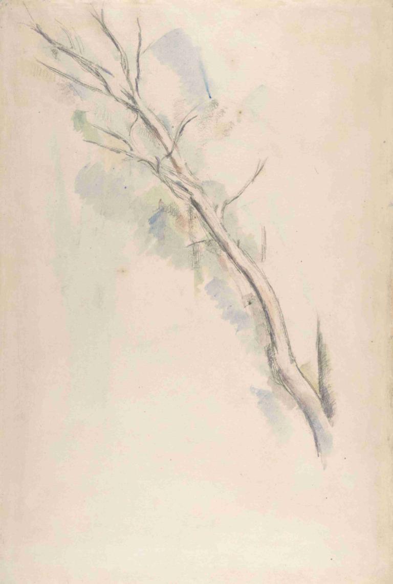 Study of a tree,Studie af et træ,Paul Cézanne,Farveskitse,Farveskitse, træ, ingen mennesker