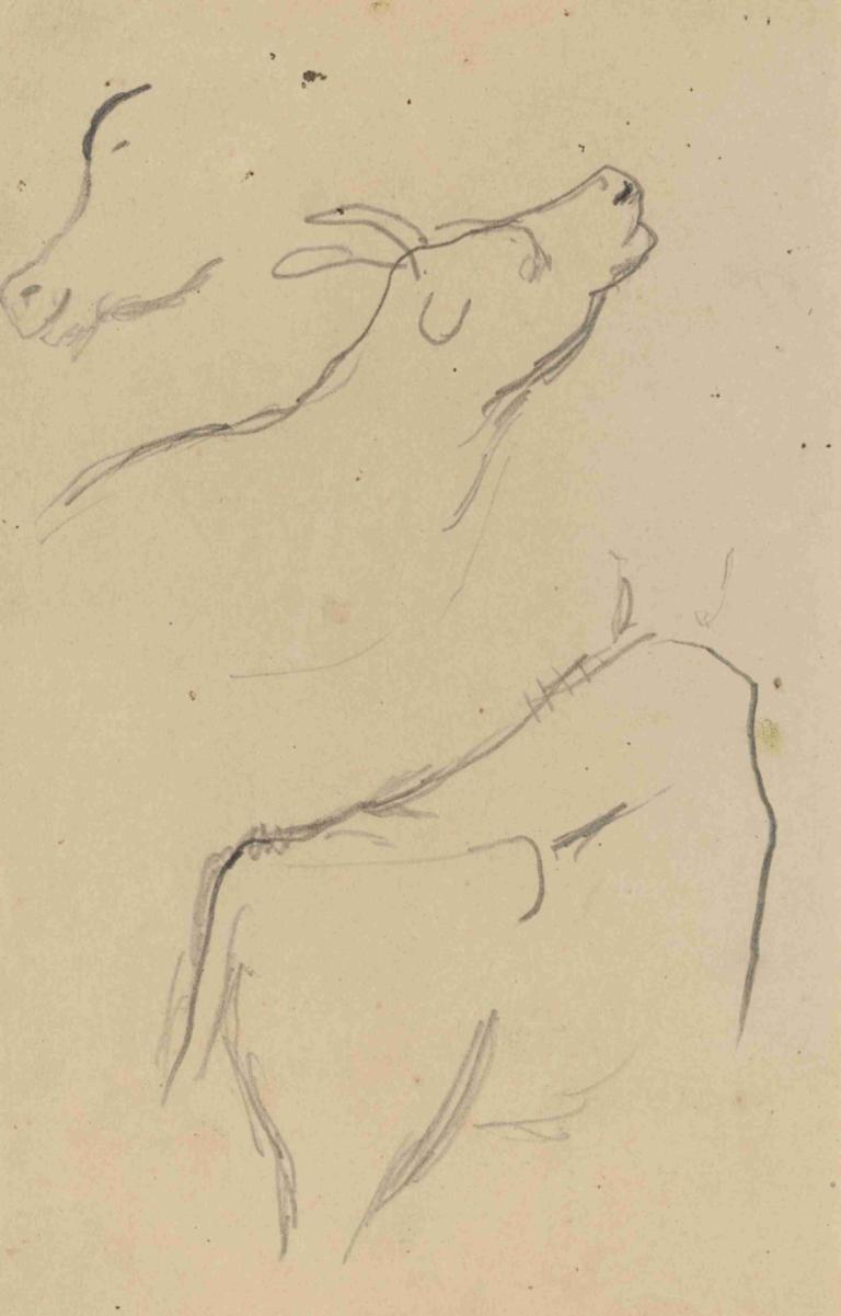 Studies of a Cow (verso),一头牛的研究（背面）,Paul Gauguin,保罗-高更,素描,素描, 单色, 草图, 动物, 传统媒体, 闭着眼睛, 从侧面, 狗, 动物焦点