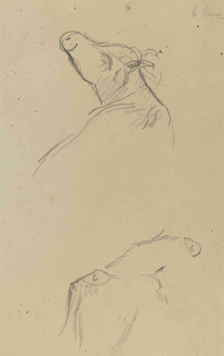 Two Cow's Heads (verso),Deux têtes de vache (verso),Paul Gauguin,Croquis,Croquis, monochrome, esquisser