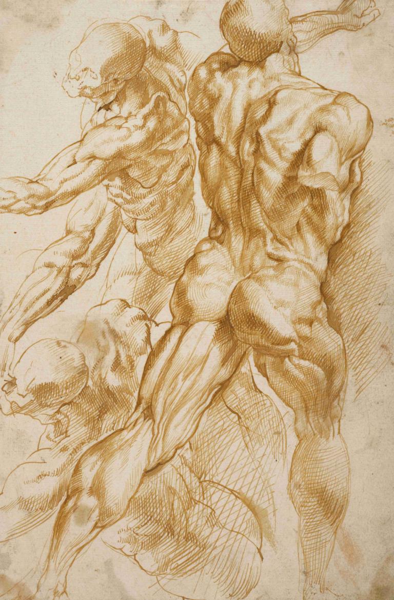 Anatomical Studies,Peter Paul Rubens,Sketch,Sketch, muscular, bald, monochrome, ass, multiple boys