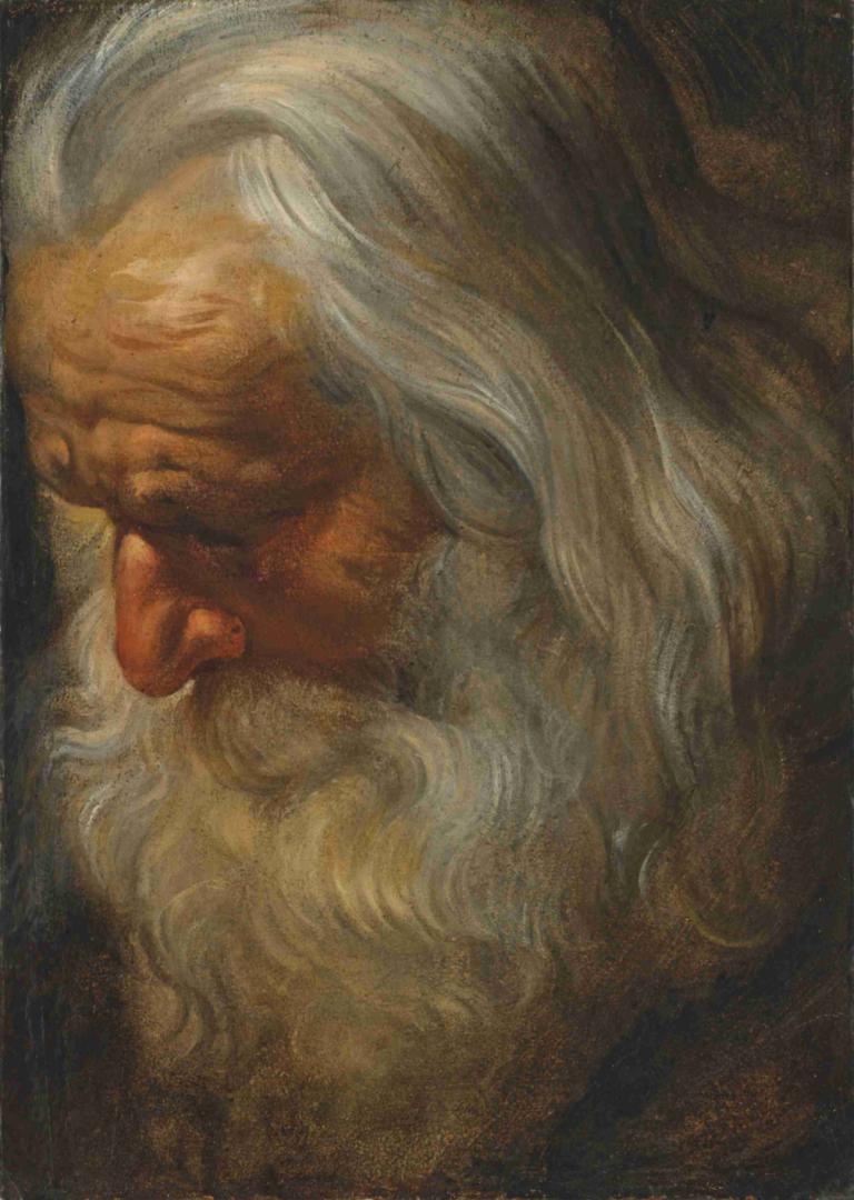 Head study of a bearded old man,Peter Paul Rubens,Oil Painting,Oil Painting, 1boy, solo, male focus, old